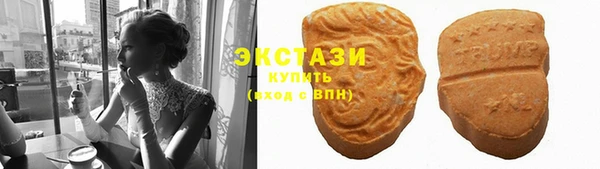 крисы Коряжма